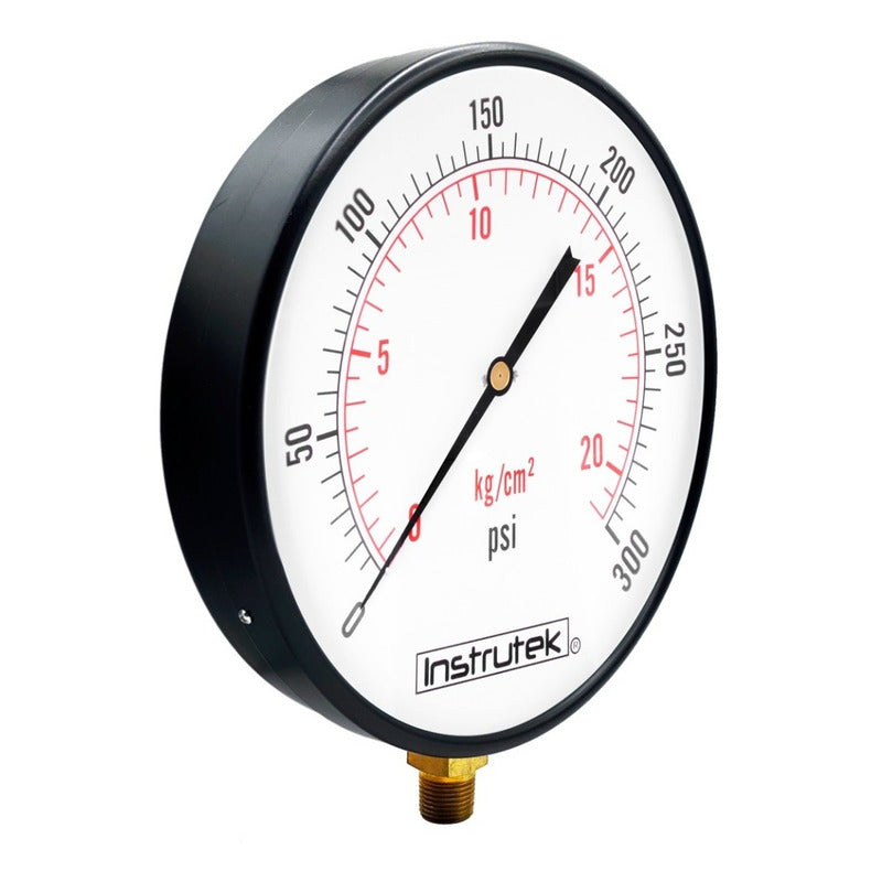 10 PLG Boiler Pressure Gauge, 300 Psi, Bottom Connection