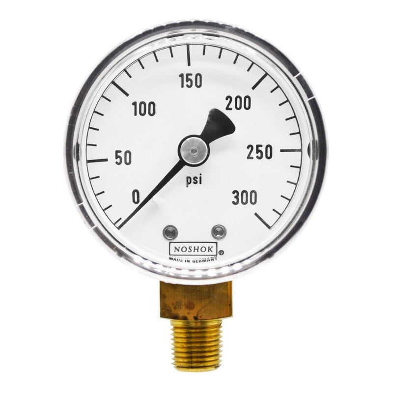 Manómetro Noshok Abs P/procesos Alimenticios, 300 Psi